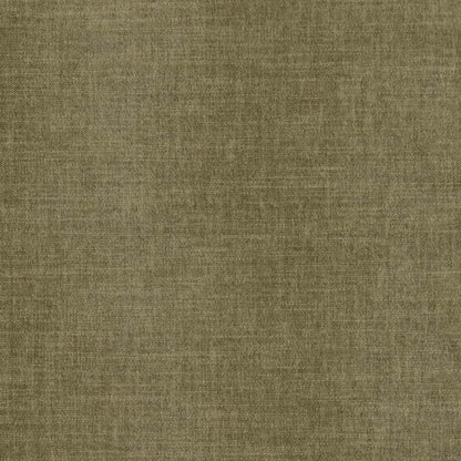 Avanti Eucalyptus
