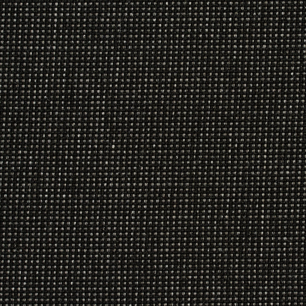 Avalon Coal