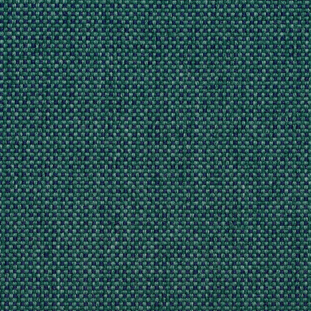 Avalon Evergreen
